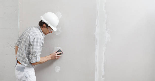 Environmental Consulting for Mold Prevention in Crystal City, TX
